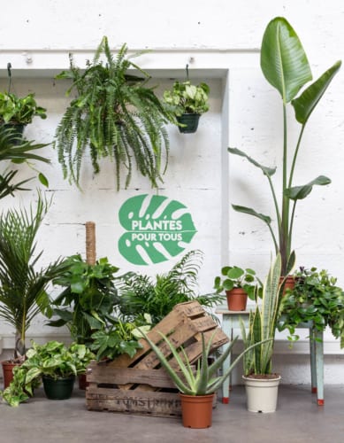 , Une grande vente de plantes vertes aux Docks Village tout le week-end, Made in Marseille