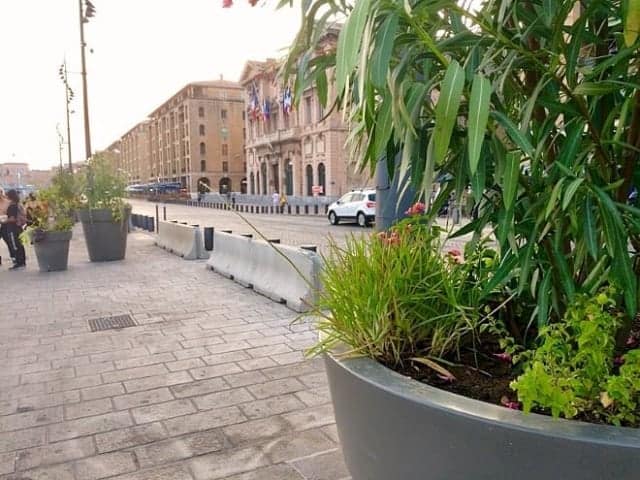 , L&rsquo;image du jour : des plantes en pots débarquent sur le Vieux-Port, Made in Marseille