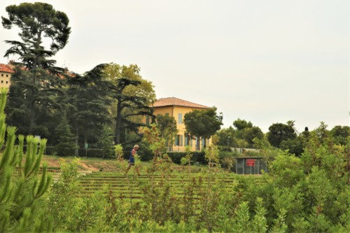 , Un million d’arbres plantés d&rsquo;ici deux ans en Provence-Alpes-Côte d&rsquo;Azur, Made in Marseille