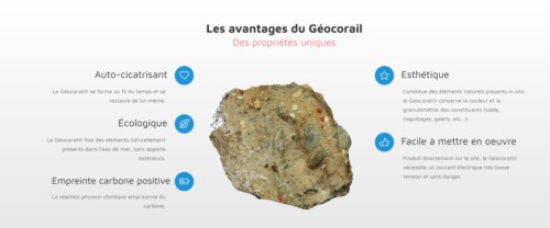 , La start-up marseillaise Géocorail développe une solution naturelle contre l&rsquo;érosion, Made in Marseille