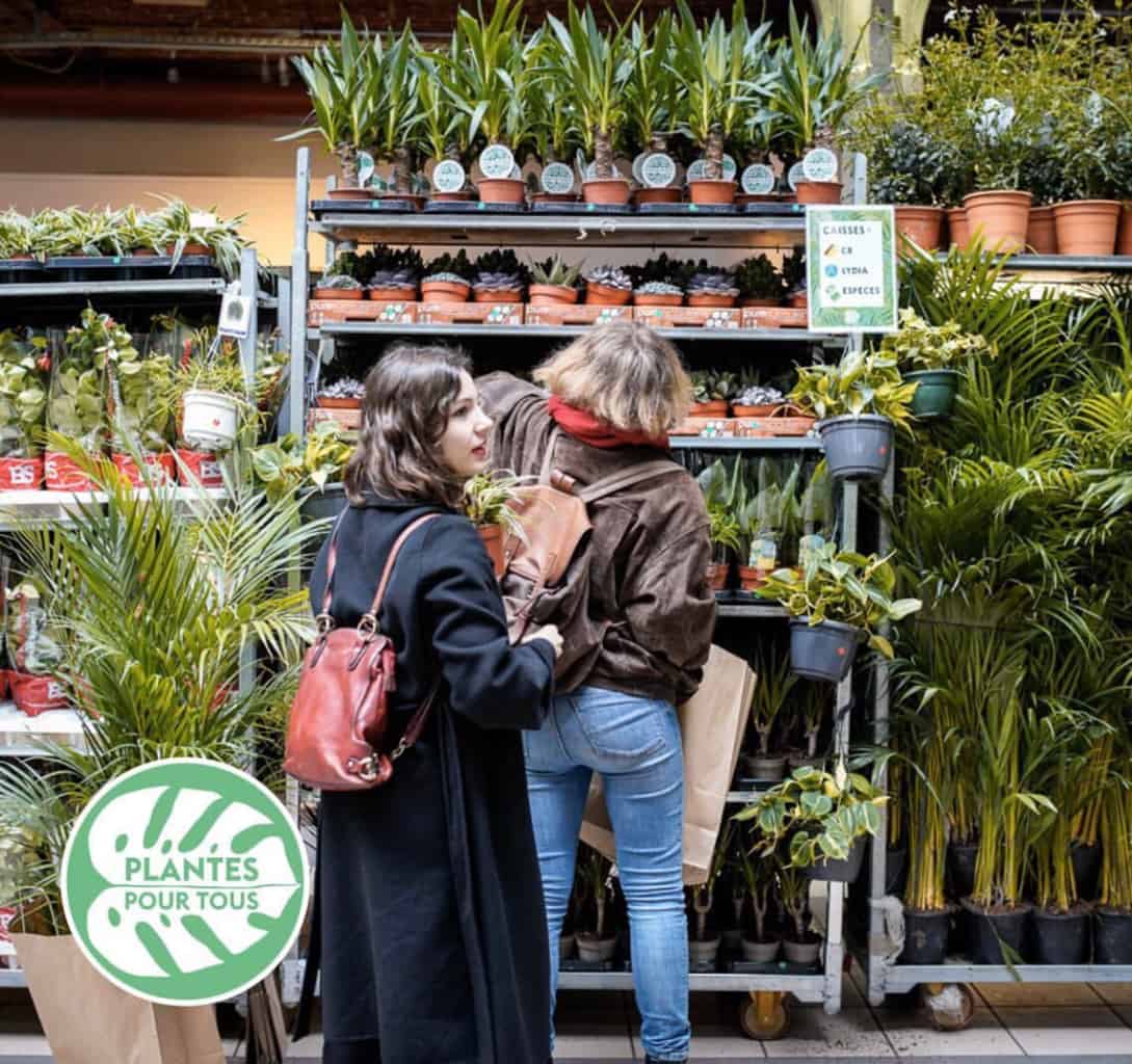 La grande vente de plantes à petits prix revient à Marseille