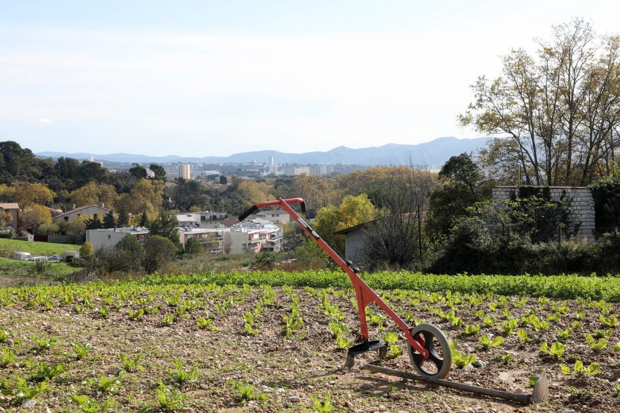 , La Métropole recherche des agriculteurs pour cultiver près de 2 hectares à Saint-Menet, Made in Marseille