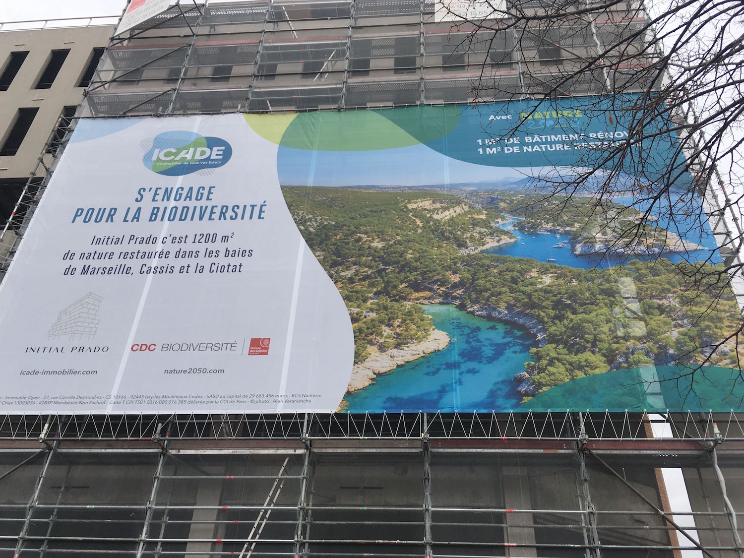 , Sur le Prado, un chantier de logements veut repeupler les fonds marins des Calanques, Made in Marseille