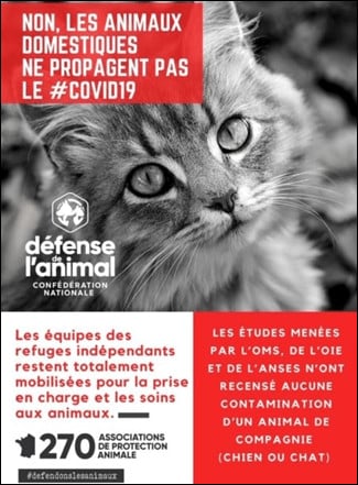 , Les refuges animaliers de la région s&rsquo;organisent face à la crise, Made in Marseille