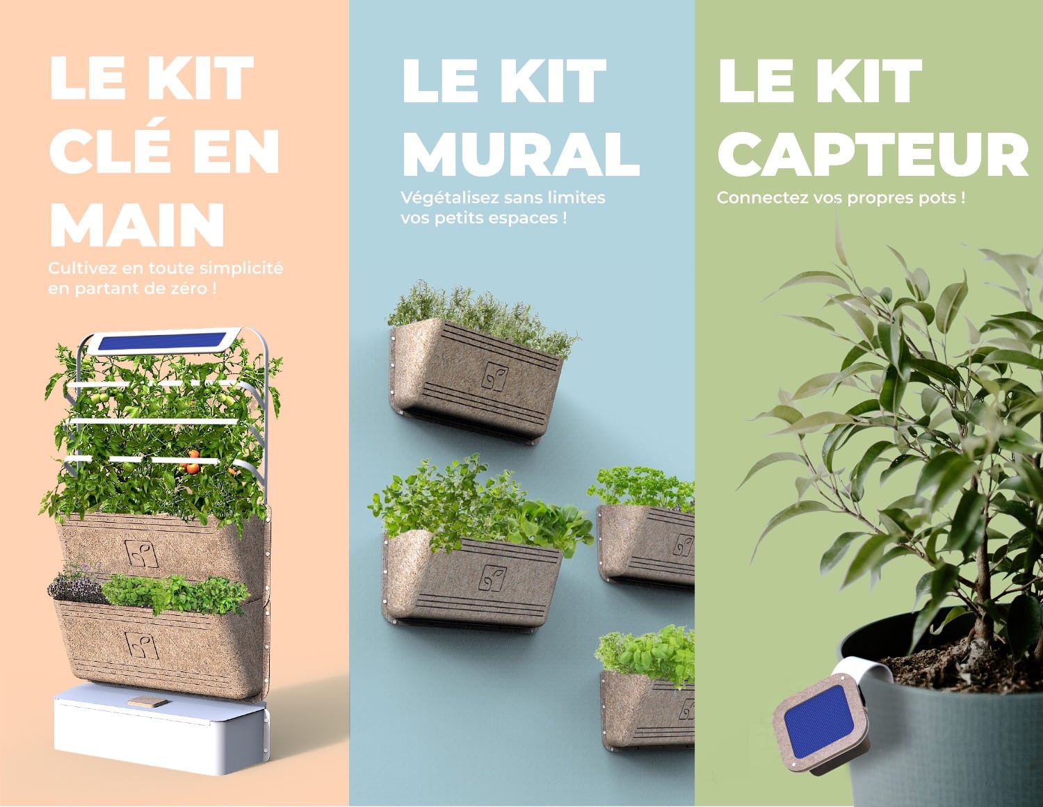 , Agrove, le potager connecté, lance sa campagne de financement, Made in Marseille
