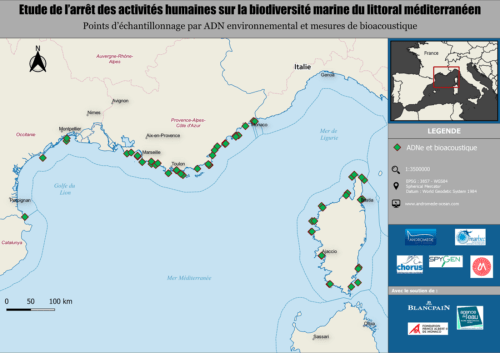 , Le confinement déclenche une vaste étude de la biodiversité en Méditerranée, Made in Marseille