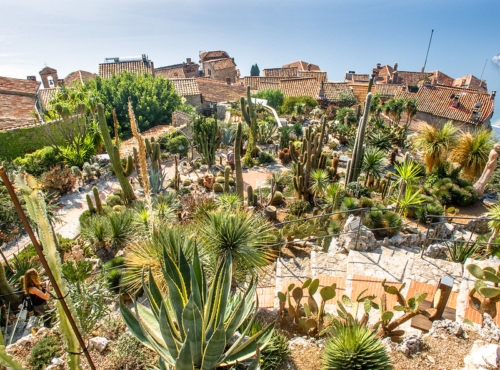 jardins exotiques, Les plus beaux jardins exotiques à visiter dans le Sud de la France, Made in Marseille