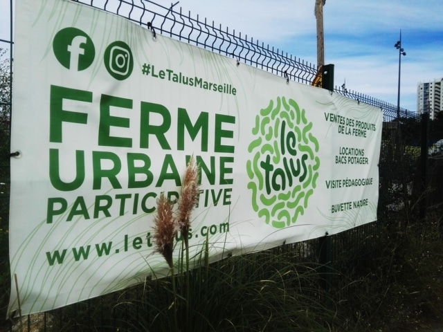 , Le Talus : une ferme urbaine &#8220;laboratoire de la transition écologique&#8221;, Made in Marseille
