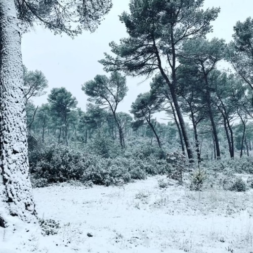 , Vos photos de la neige à Marseille le 10 janvier 2021, Made in Marseille