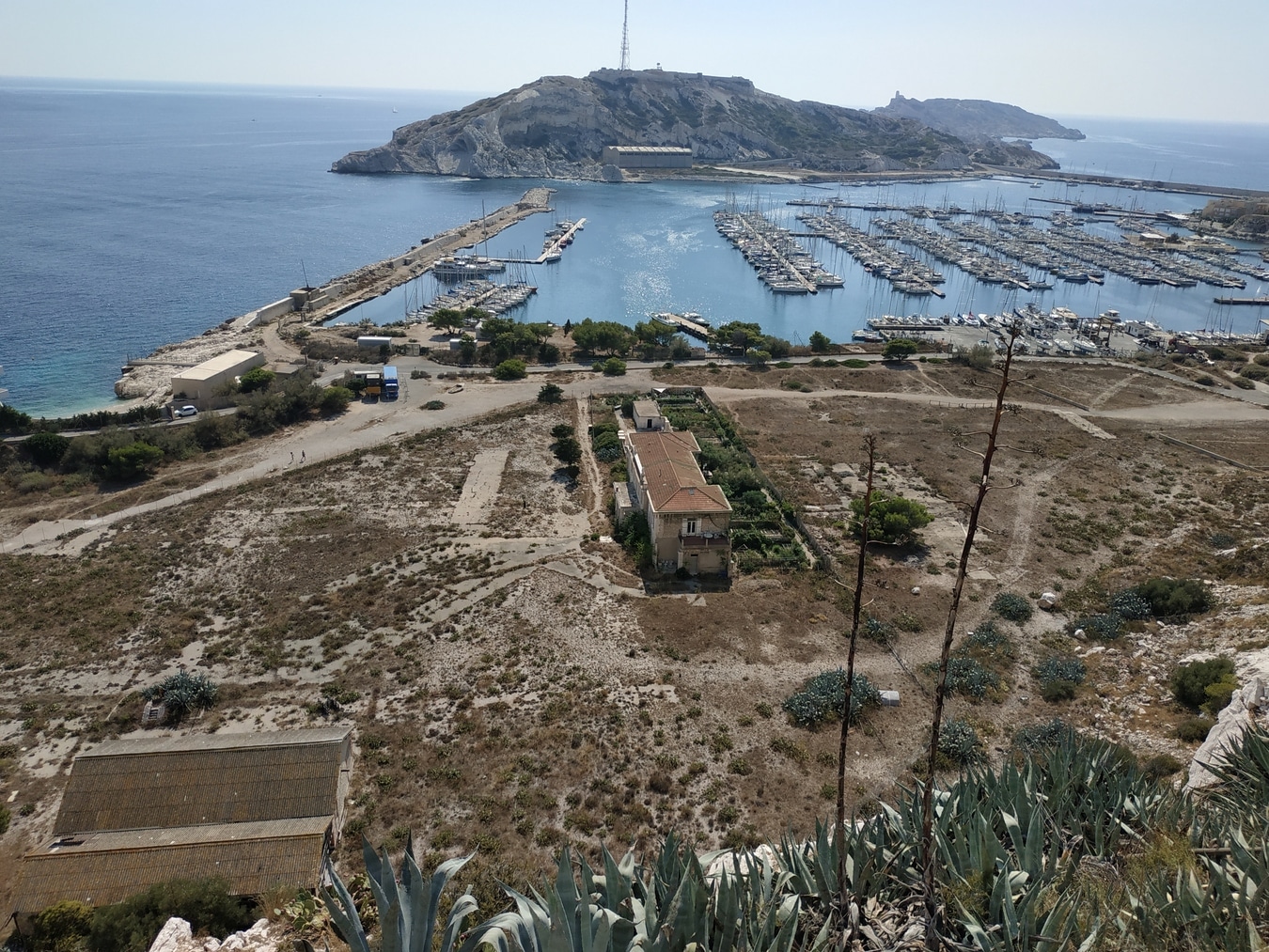 , Au Frioul, 8 hectares à l’abandon bientôt requalifiés pour que la nature reprenne ses droits, Made in Marseille