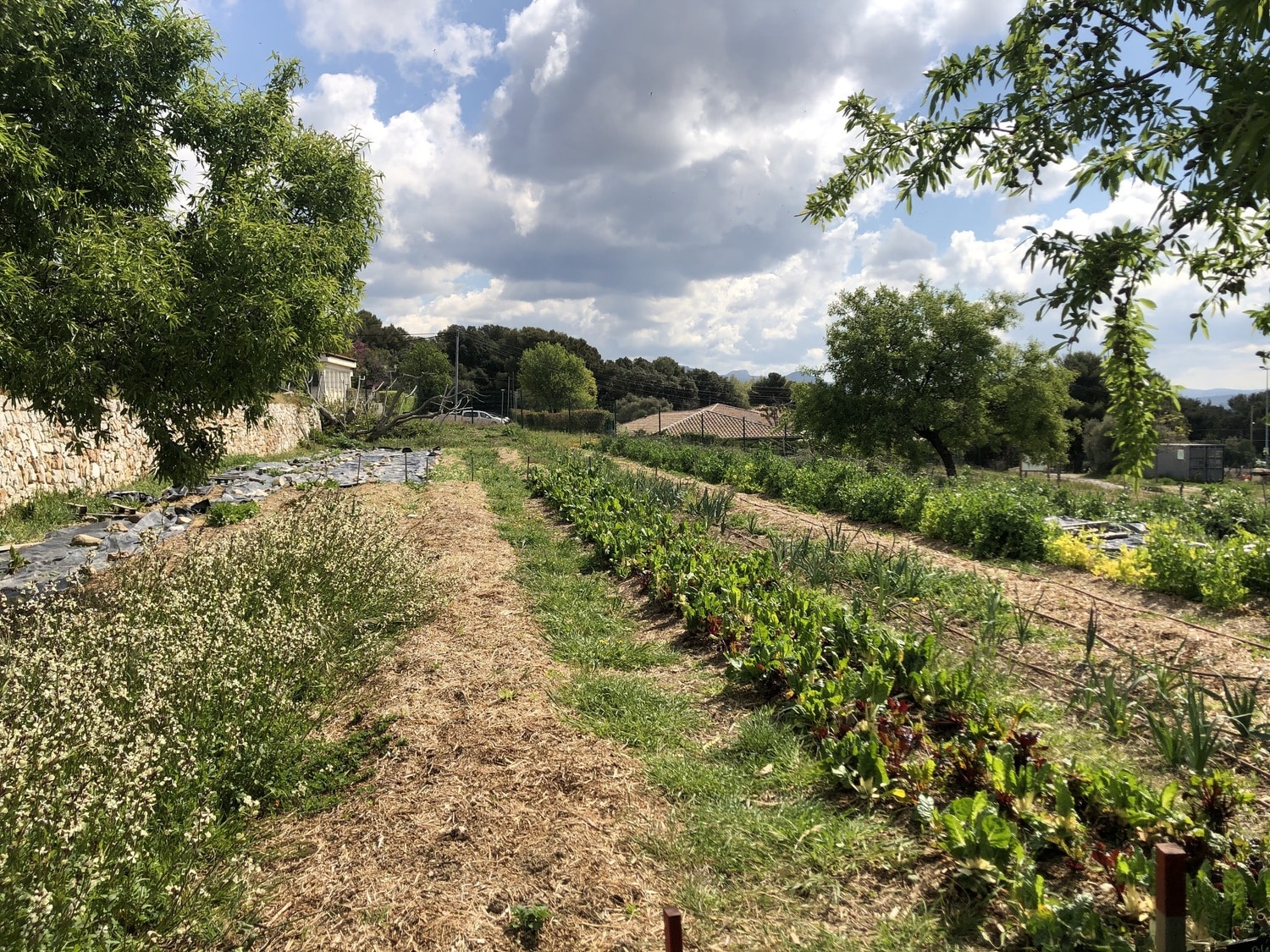 , Notre sélection de projets provençaux dédiés au développement de l’agriculture urbaine, Made in Marseille