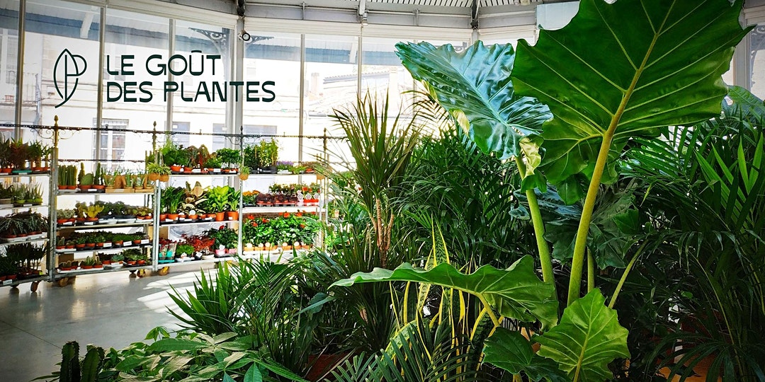 , Le Goût des Plantes : un nouveau marché de végétaux à petits prix s&#8217;installe à Marseille, Made in Marseille