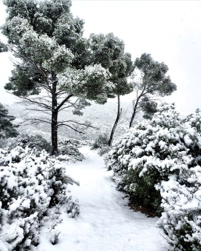, Vos photos de la neige à Marseille le 10 janvier 2021, Made in Marseille