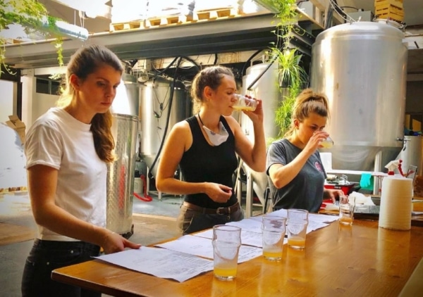 , Un nouveau festival de la bière devrait débarquer à Marseille en juin, Made in Marseille