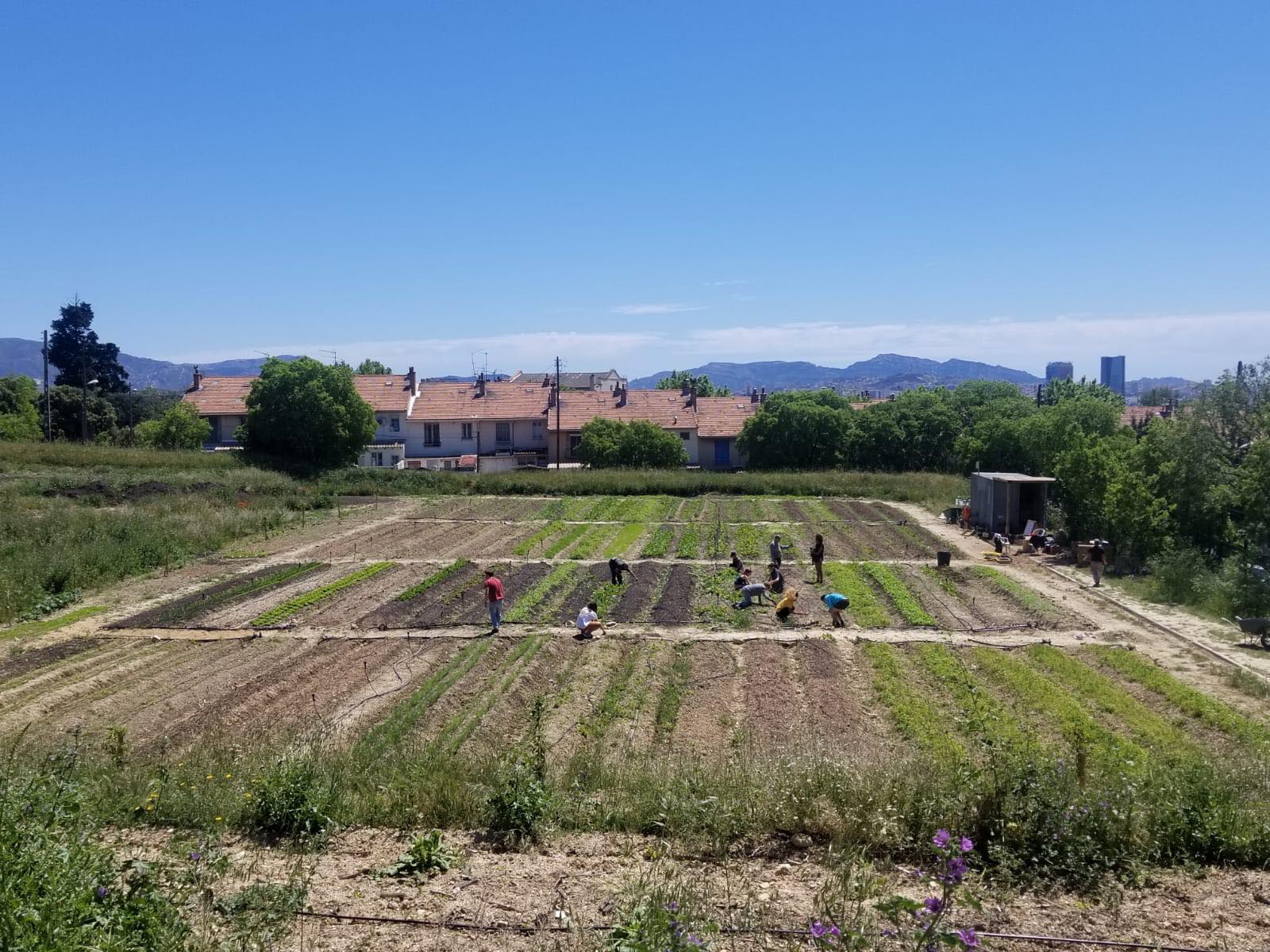 , La Cité de l&rsquo;agriculture recherche un nouveau local où faire pousser ses projets, Made in Marseille