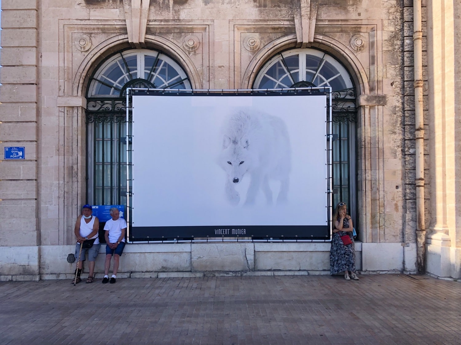 , Marseille : les banquises au cœur d&#8217;une expo pour sensibiliser au changement climatique, Made in Marseille