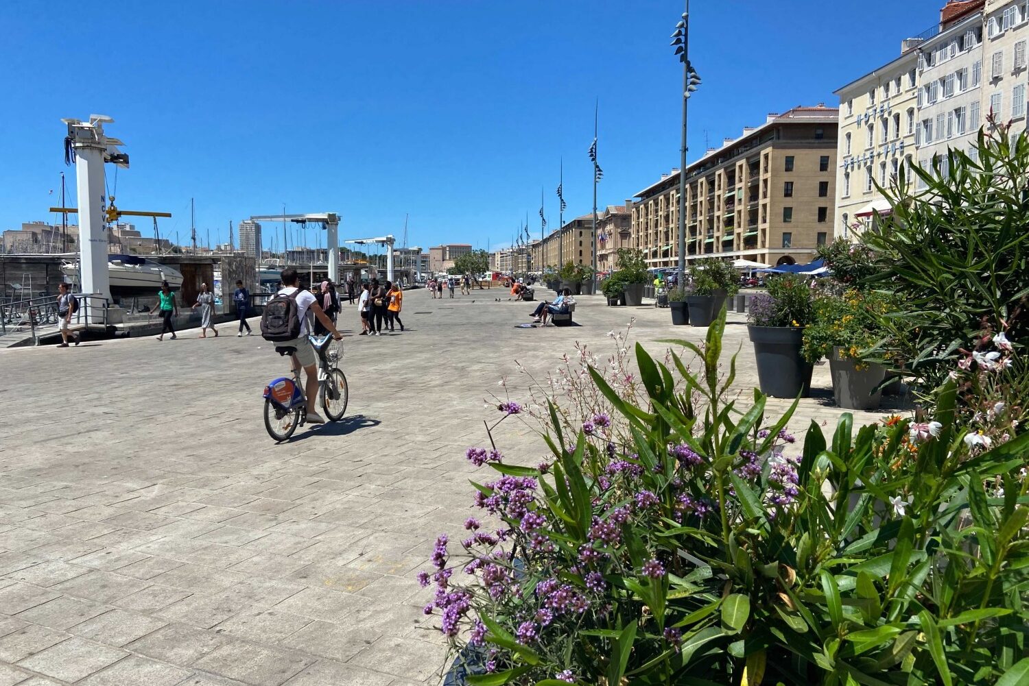, Le Vieux-Port devient piéton côté mairie pendant tout l&rsquo;été, Made in Marseille