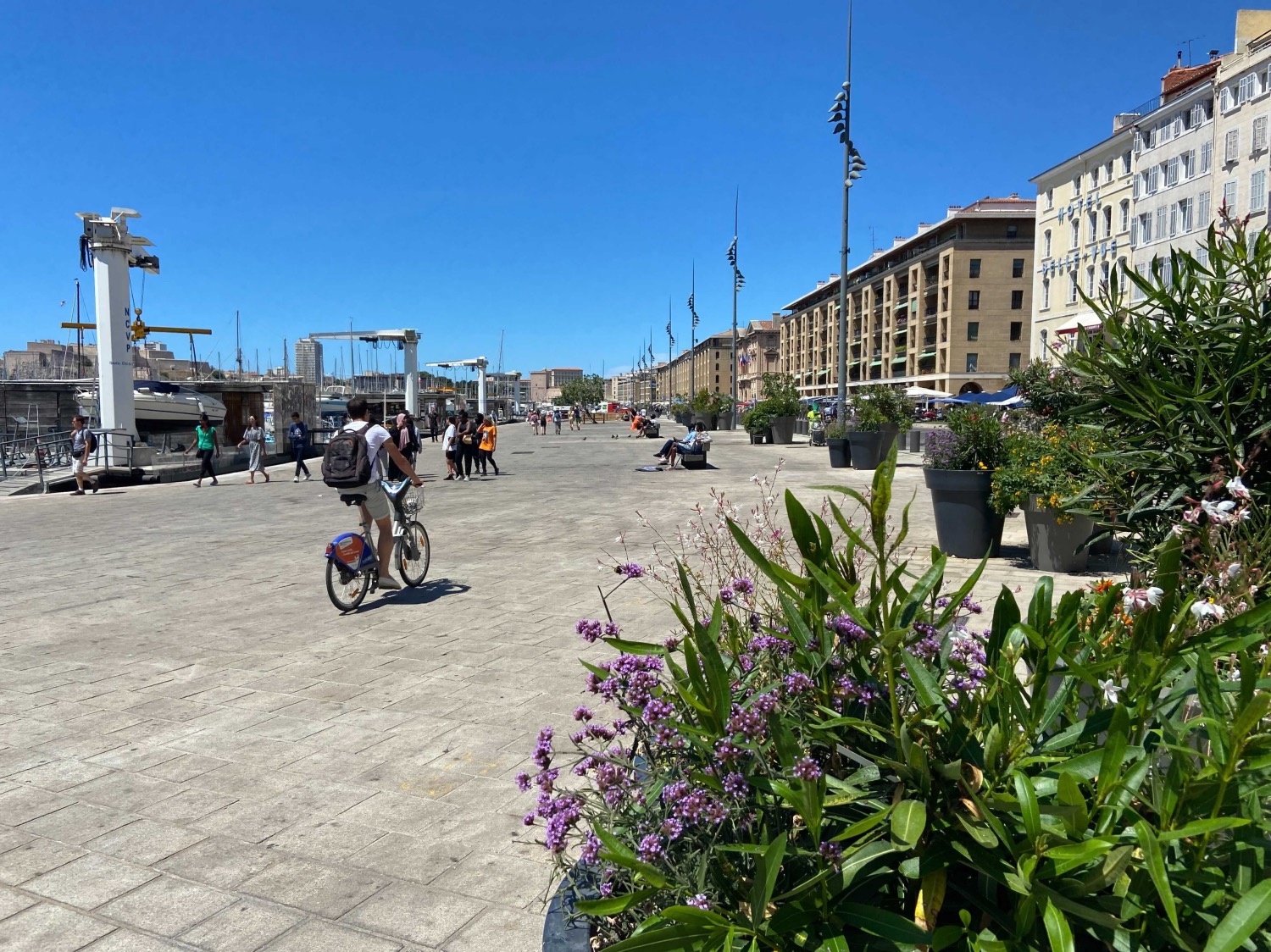 , Le Vieux-Port devient piéton côté mairie pendant tout l&#8217;été, Made in Marseille