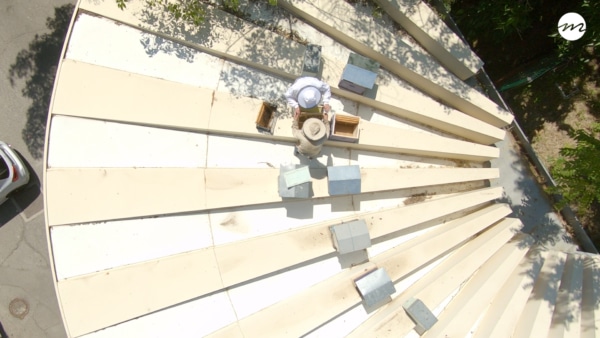 , [Vidéo]  « Sur les routes de Provence » épisode 2 : Des abeilles sur les toits de Marseille, Made in Marseille