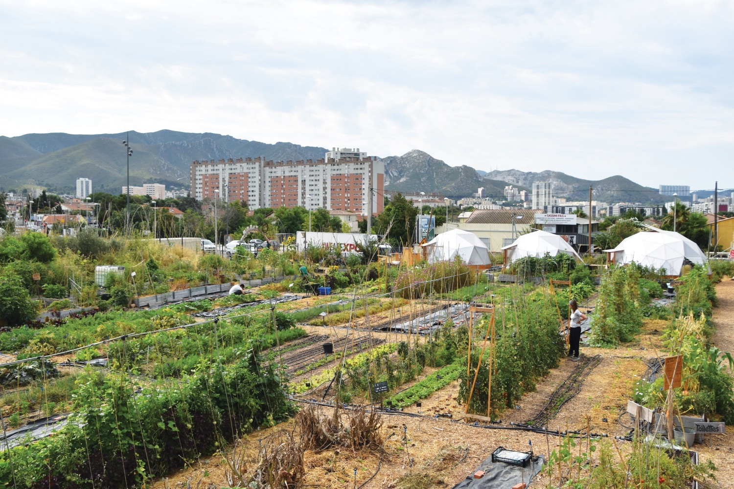 jardins, Yazid Bendaif fait pousser des jardins nourriciers dans les quartiers Nord de Marseille, Made in Marseille