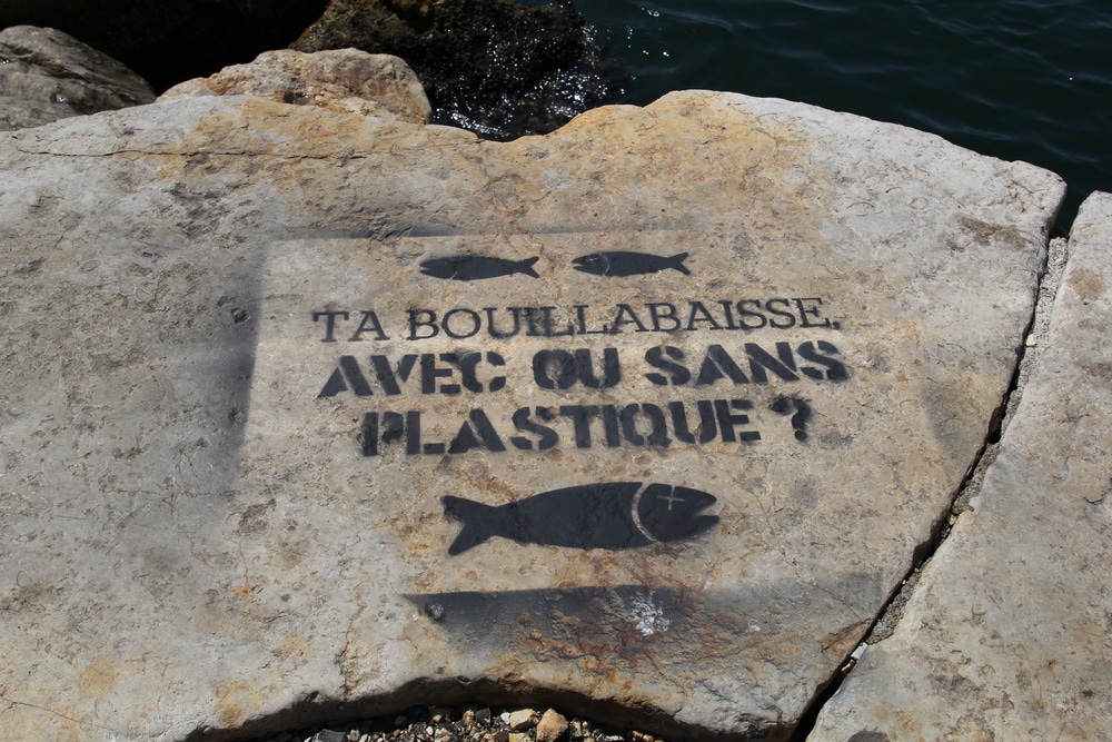 océans, Journée mondiale des océans : ces initiatives marseillaises pour protéger la Méditerranée, Made in Marseille