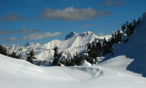 Alpes, Les festivals et événements cet hiver dans les stations de ski des Alpes du Sud, Made in Marseille