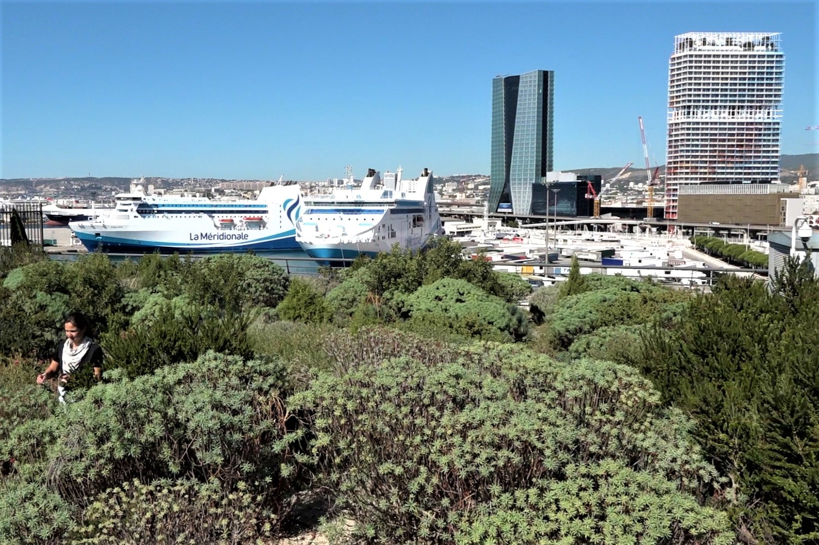 terrasses, Des poissons pour faire pousser un potager urbain sur les Terrasses du Port, Made in Marseille
