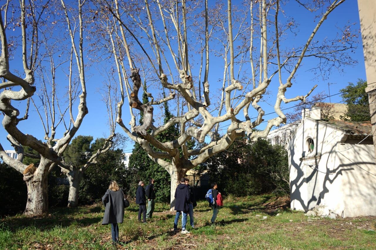 santé, Des jeunes médecins relancent une offre de santé dans une bastide des quartiers Nord, Made in Marseille