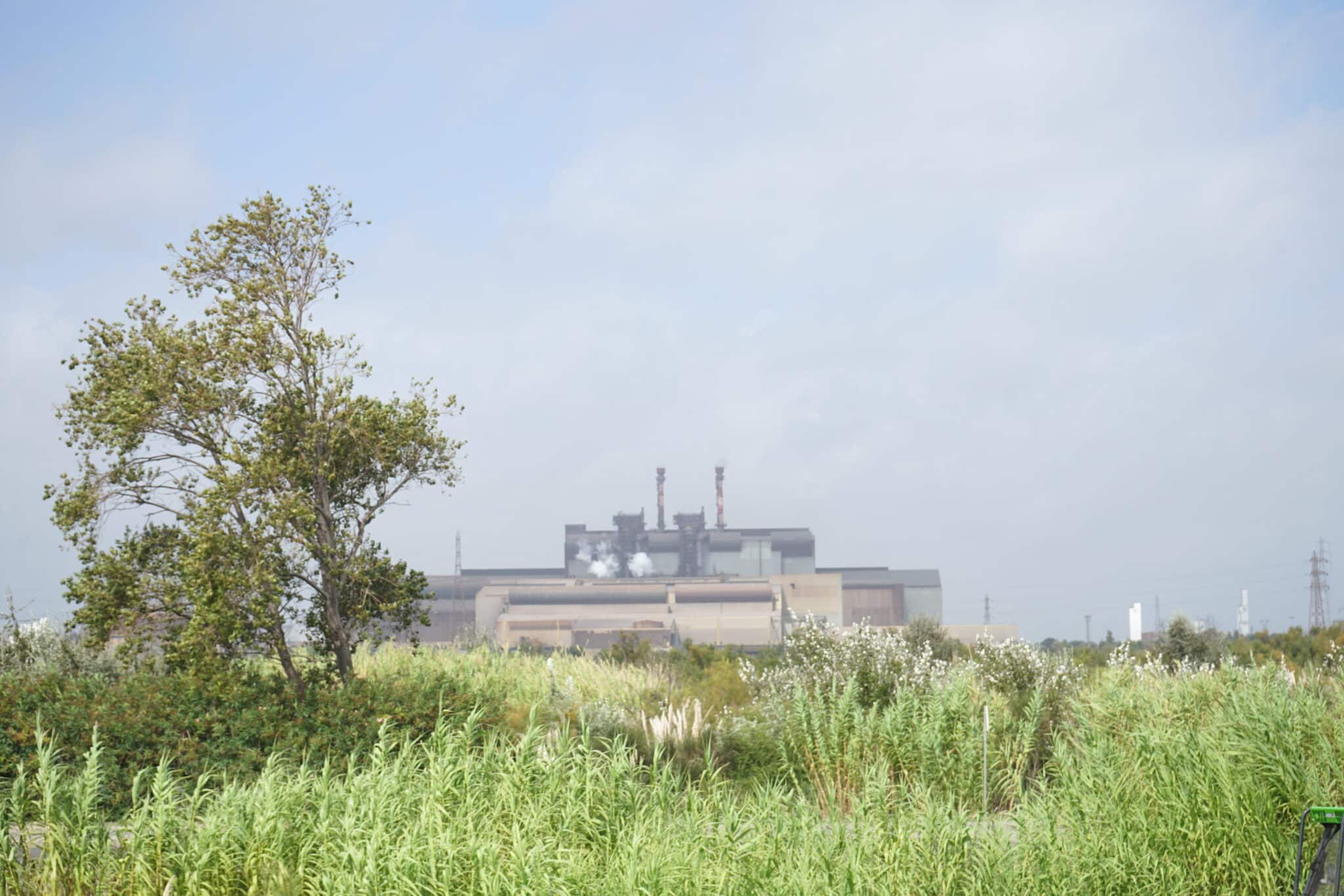 ArcelorMittal, Pour ses 50 ans, ArcelorMittal fait un premier pas vers la décarbonation, Made in Marseille