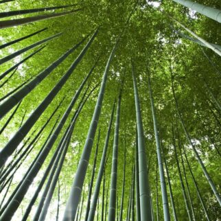 %%sitename%%, Made in Marseille &#8212; &#8211; v2, Made in Marseille