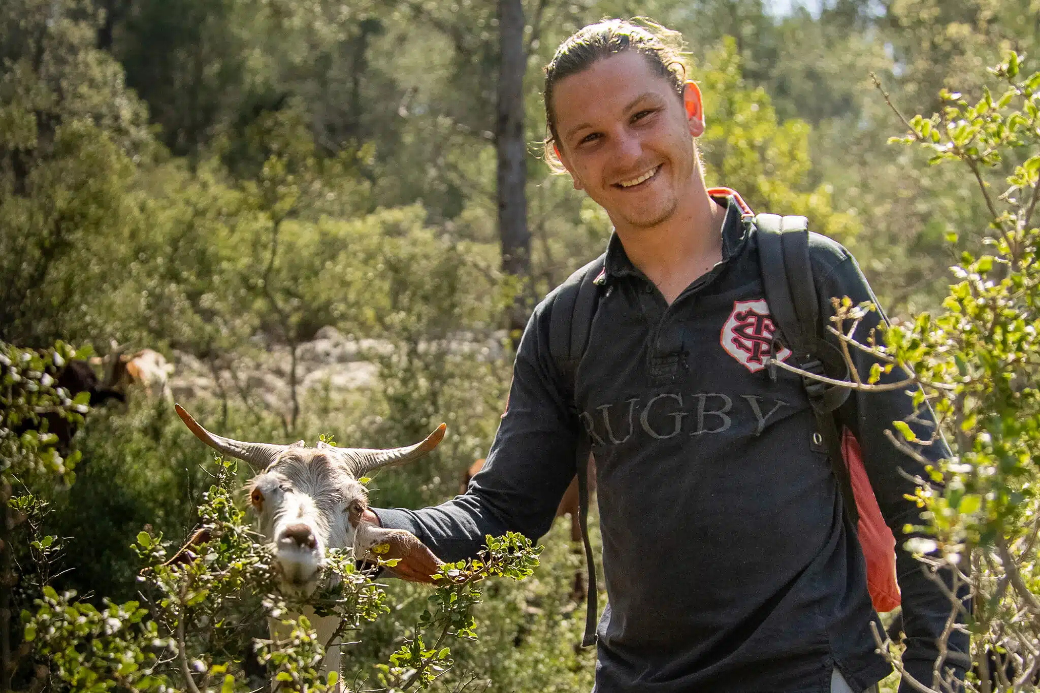 la samatane, Vidéo | À la rencontre d&rsquo;une oléicultrice à Mouriès, dans les Alpilles, Made in Marseille