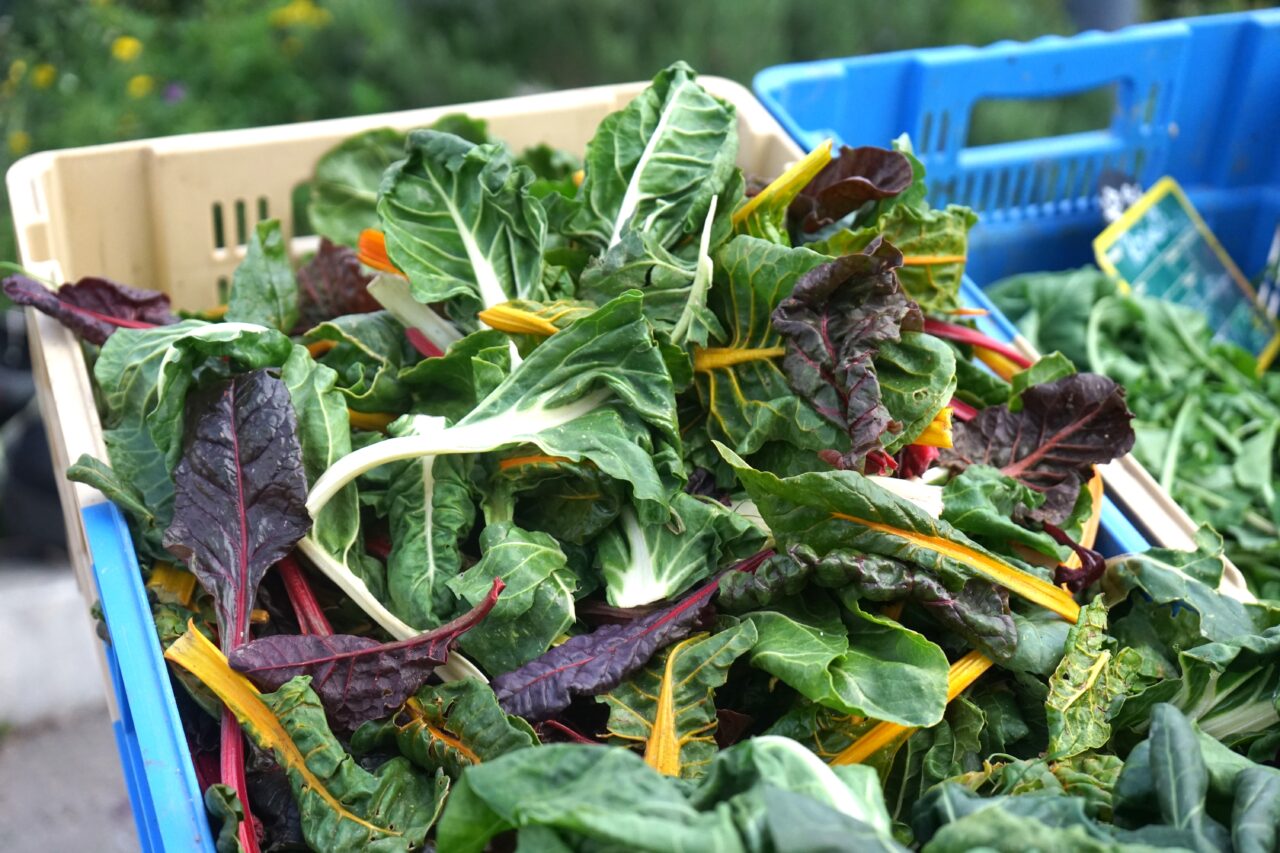 La Viste, Au marché solidaire de la Viste, les paysans bio régalent les quartiers Nord, Made in Marseille