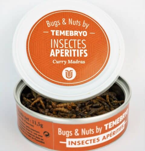 Temebryo, A Gap, la start-up Temebryo veut mettre des insectes dans nos assiettes, Made in Marseille
