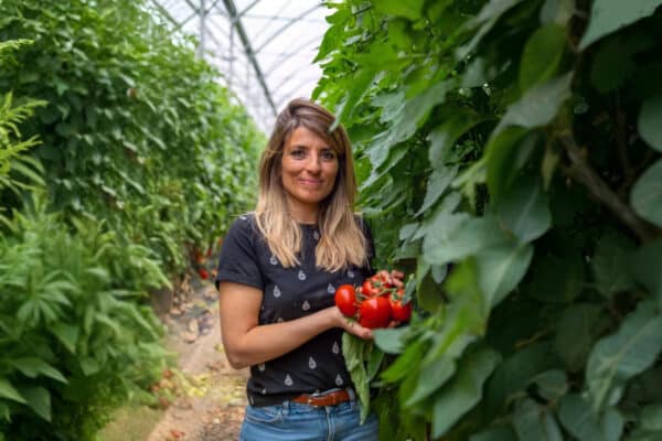 Vidéo | À la rencontre d’une productrice de tomates à Saint-Rémy-de-Provence
