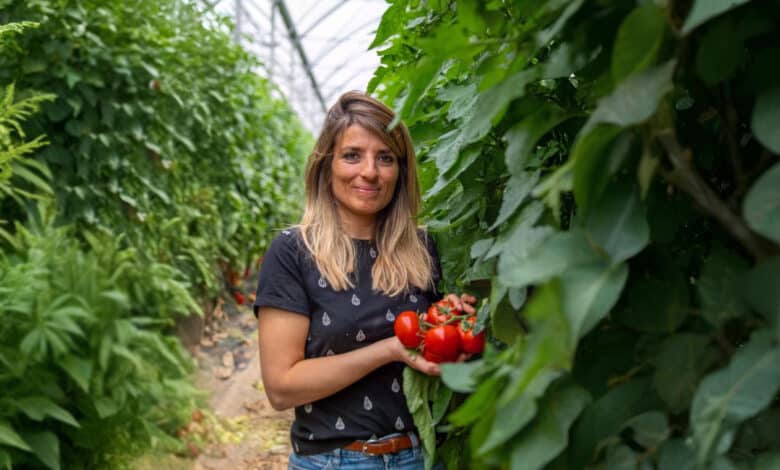 Camille Rabattu Graveson tomates Saint-Rémy