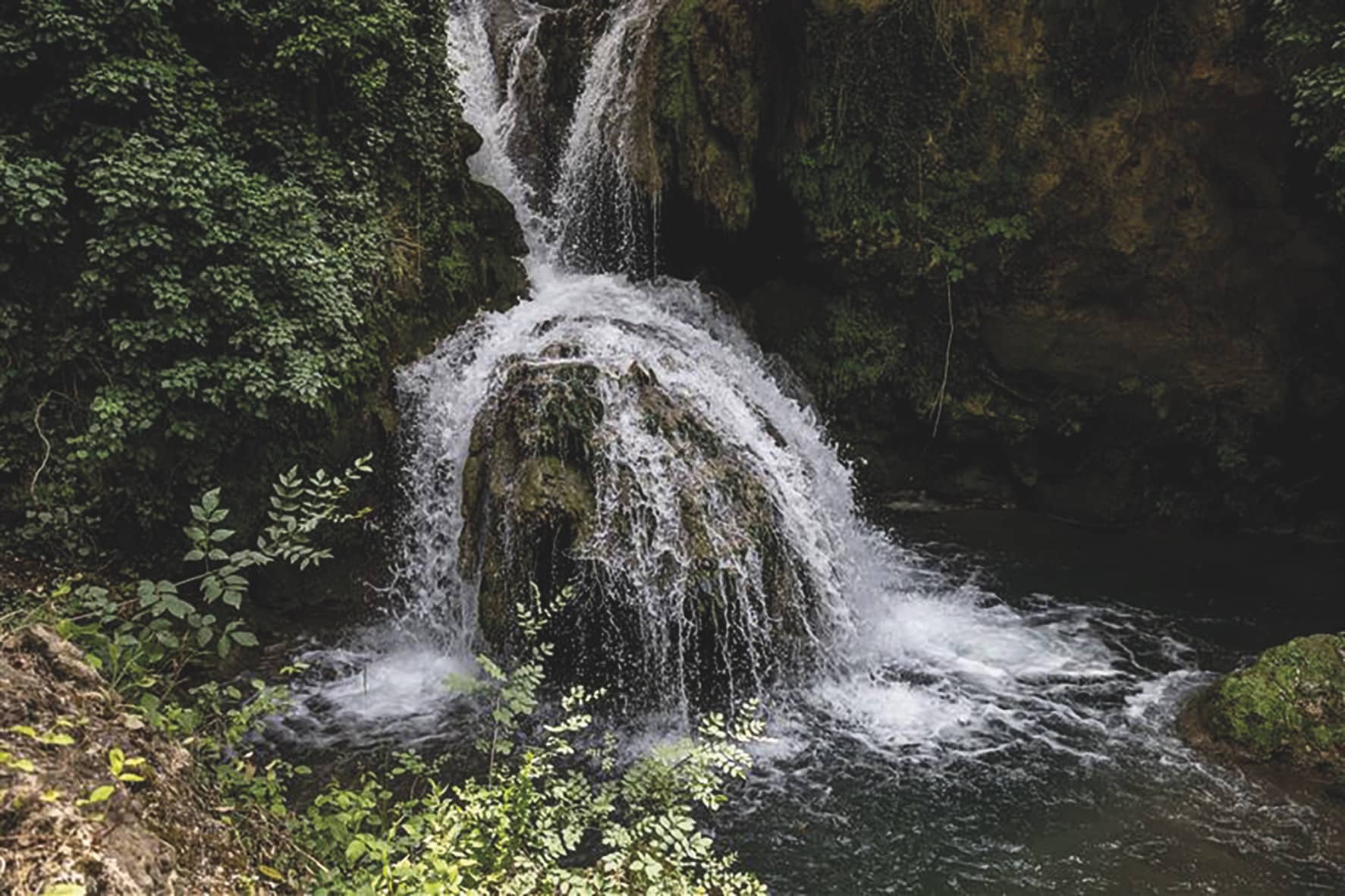 eau de pluie, L’eau de pluie, une ressource inestimable dans les Bouches-du-Rhône, Made in Marseille