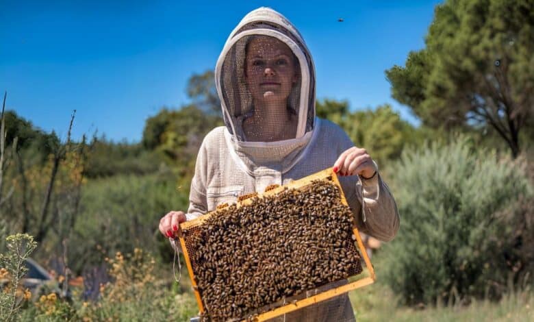 Charlotte Raymont La Fare apicultrice abeilles miel apiculteurs