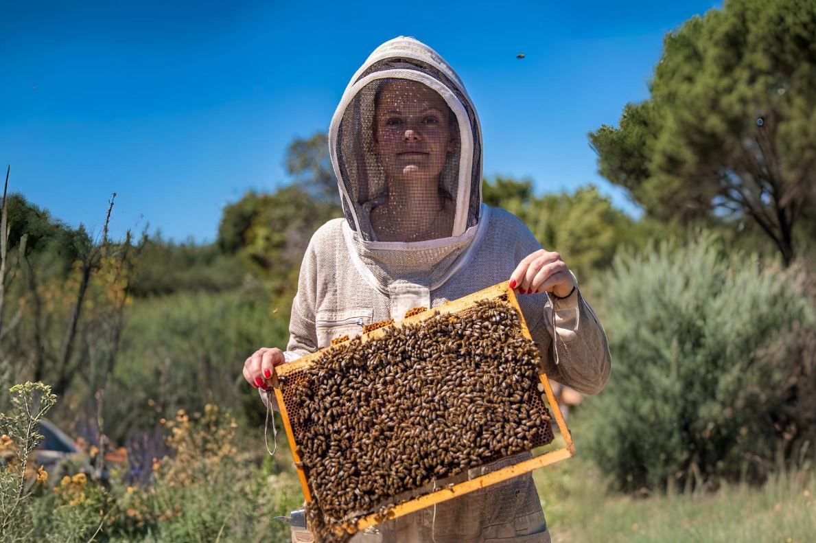 apiculteurs, Vidéo | À la rencontre d&rsquo;une apicultrice à La Fare-les-Oliviers, Made in Marseille