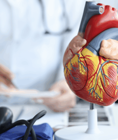 %%sitename%%, Made in Marseille, Made in Marseille