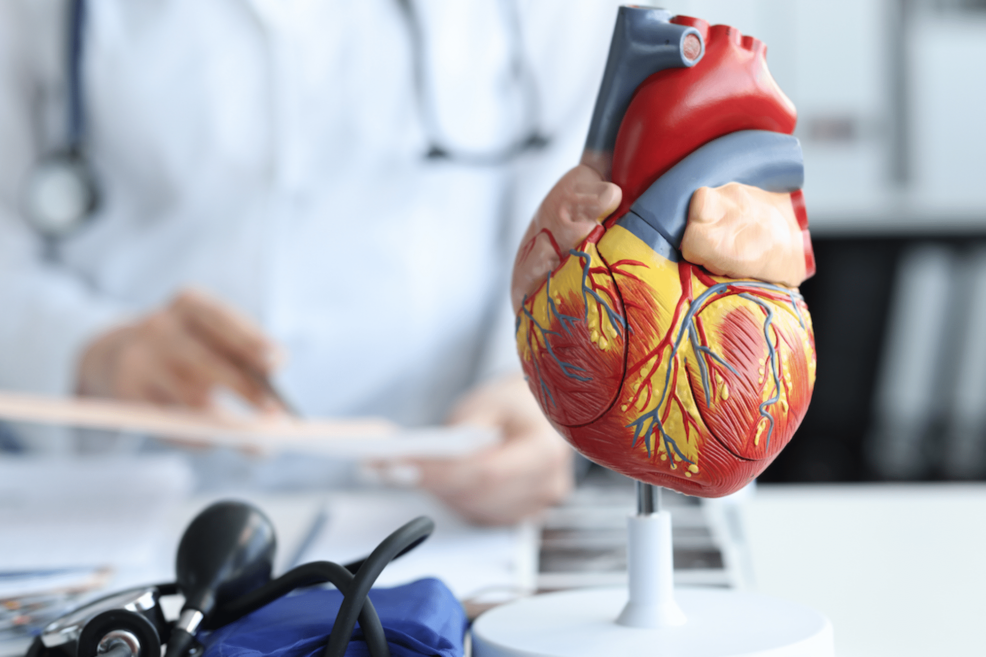 Neocor Therapeutics, À Marseille, une start-up travaille sur un médicament pour réparer le cœur, Made in Marseille