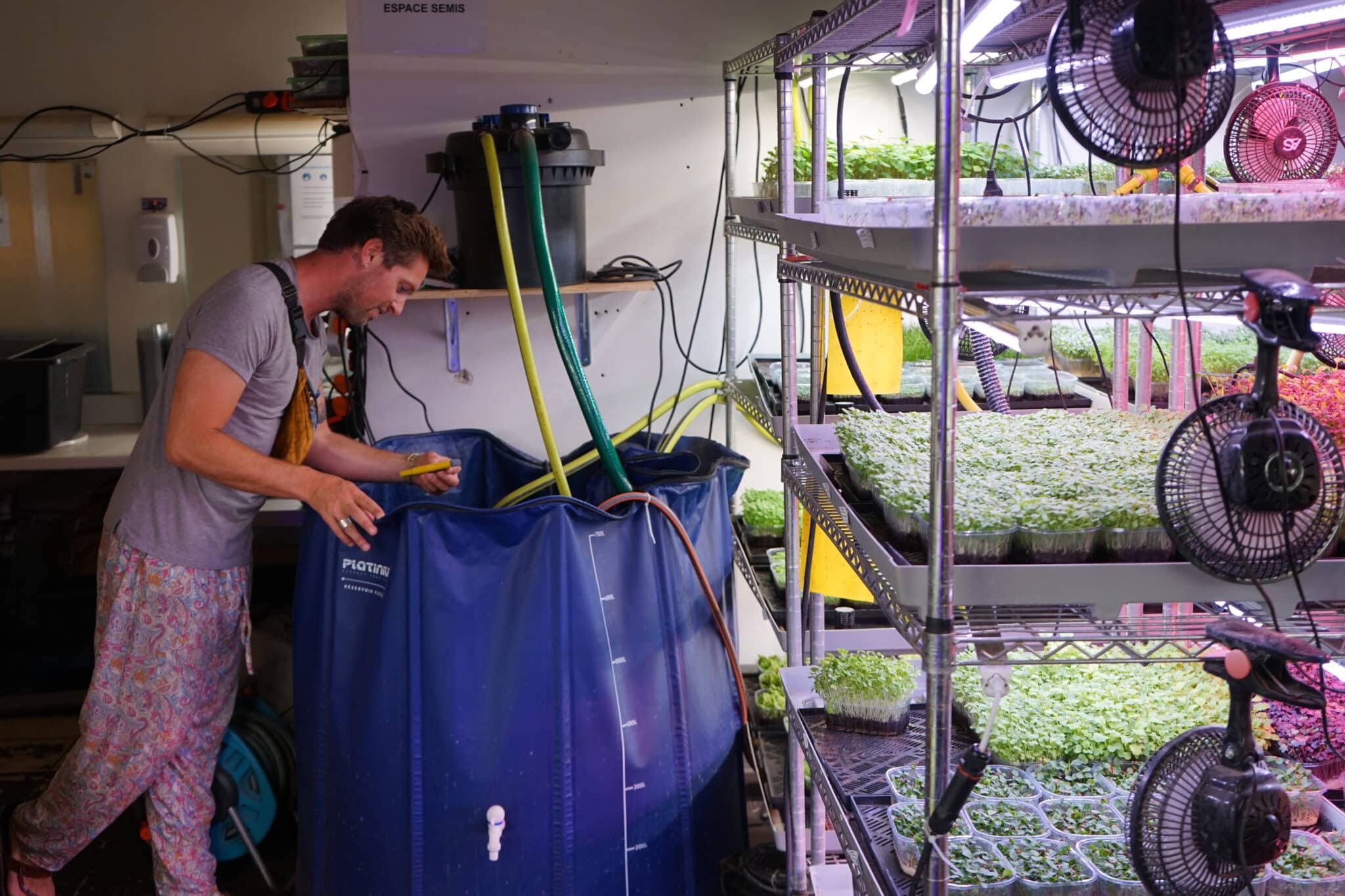 Micro pousses, Une ferme urbaine cachée à la Joliette cultive des plantes pour les restaurants marseillais, Made in Marseille