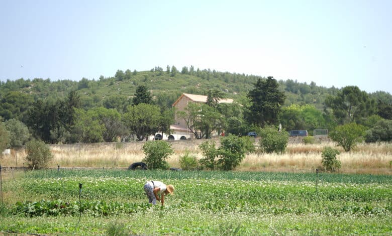Bétheline