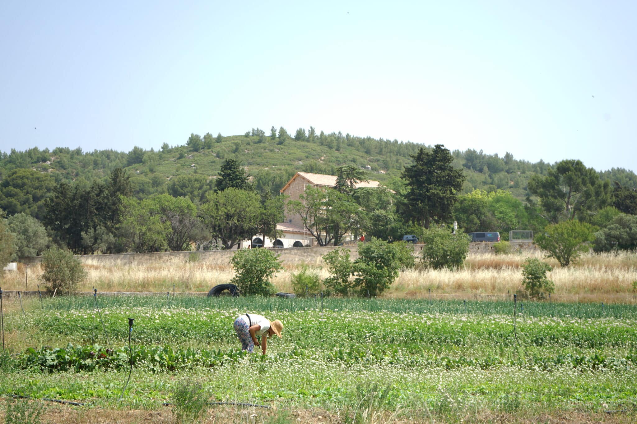 À Marseille, les agriculteurs cultivent le nouveau tiers-lieu de la Bétheline