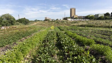 Ferme Capri dans le 15e Marseille. Mais