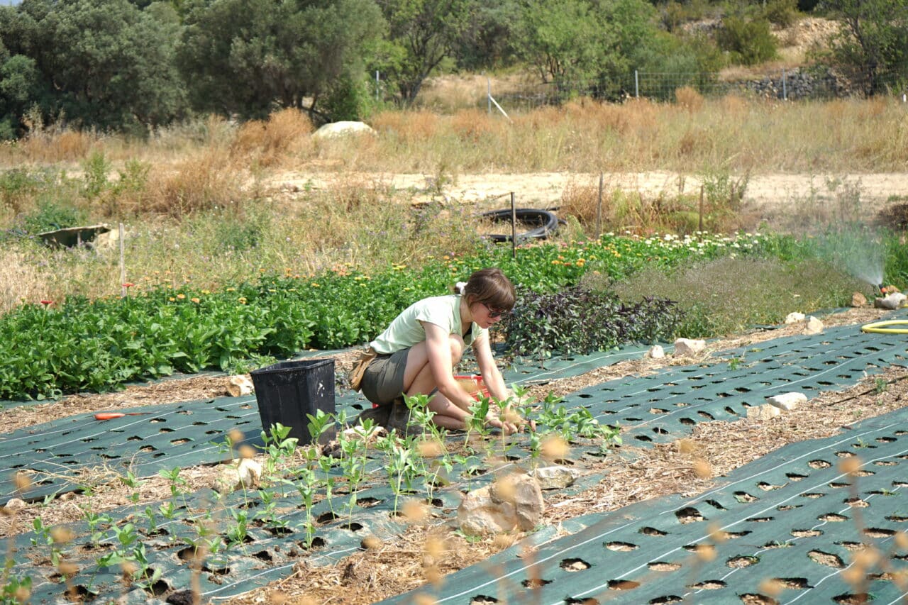 Bétheline, À Marseille, les agriculteurs cultivent le nouveau tiers-lieu de la Bétheline, Made in Marseille