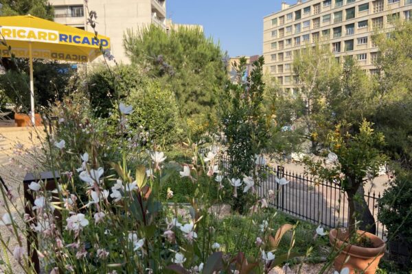 jardin, Un jardin méditerranéen ouvre ses portes à l&rsquo;hôtel InterContinental, Made in Marseille
