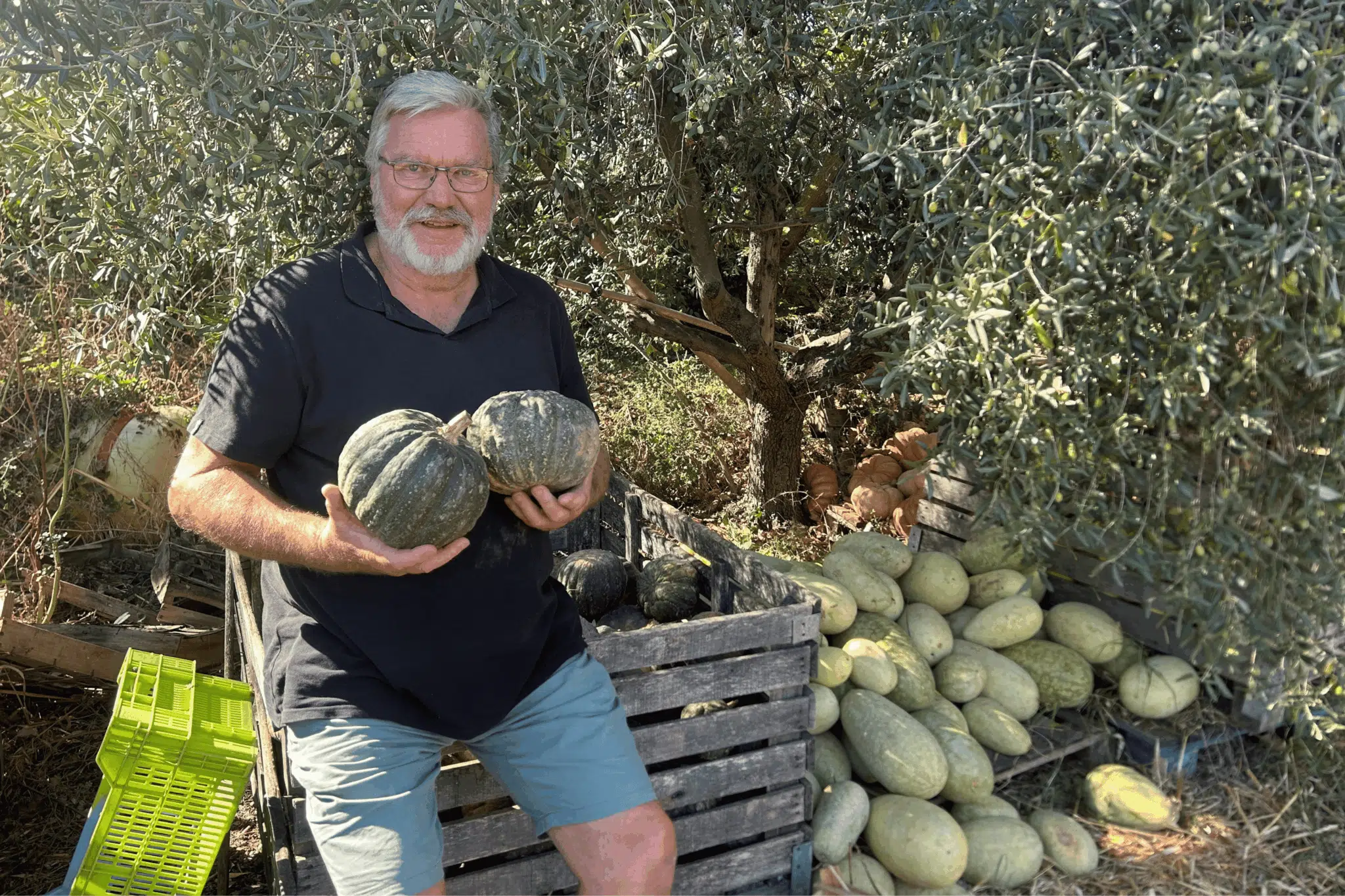terres, Avec l’aide des citoyens, ces paysans préservent les terres agricoles face à la pression foncière, Made in Marseille