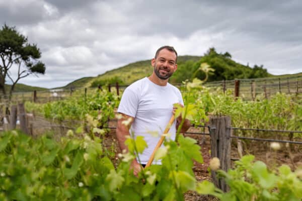 Vidéo | À la rencontre d’un viticulteur à Rognes