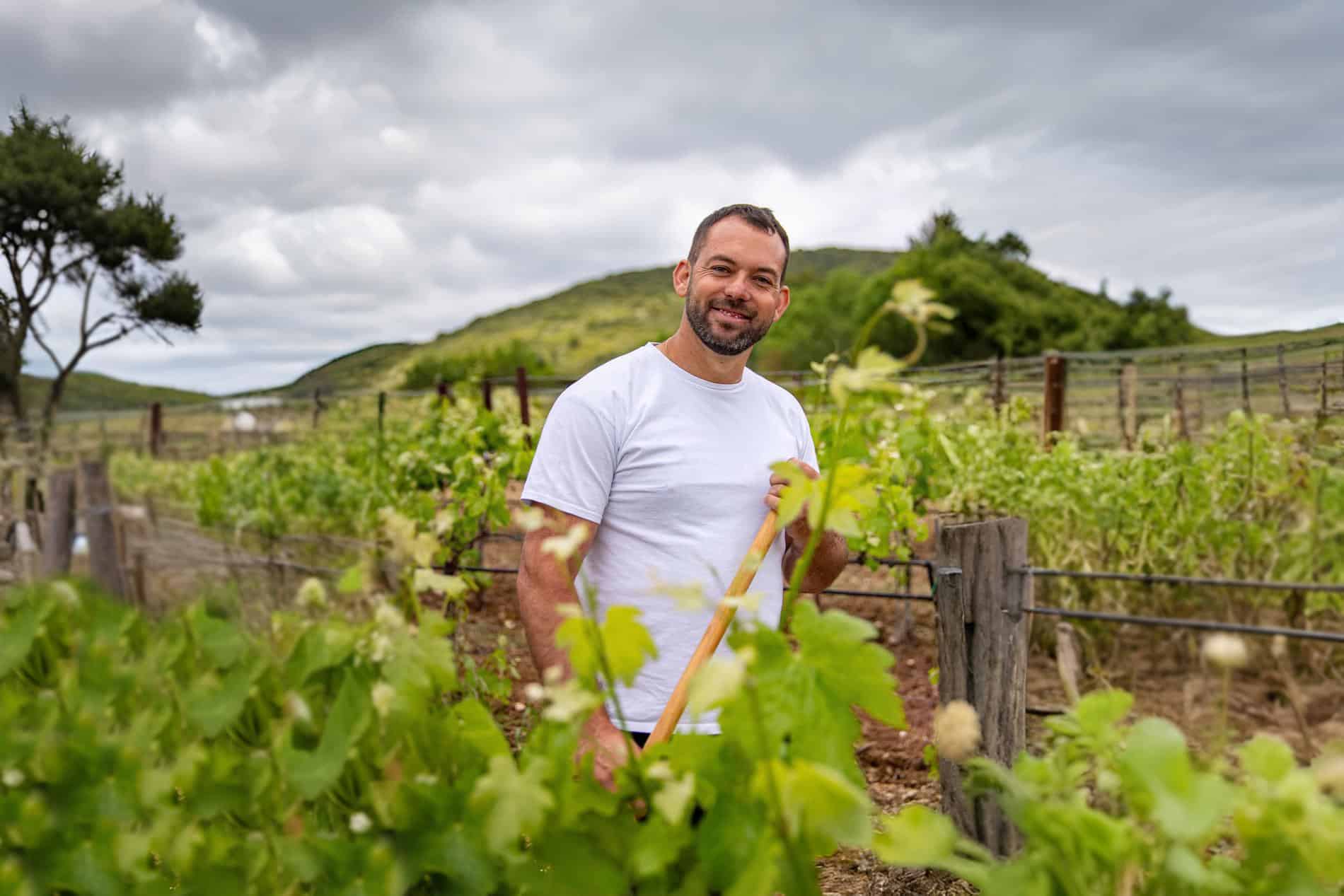 laurent dubost, Vidéo | À la rencontre d&rsquo;un viticulteur à Rognes, Made in Marseille