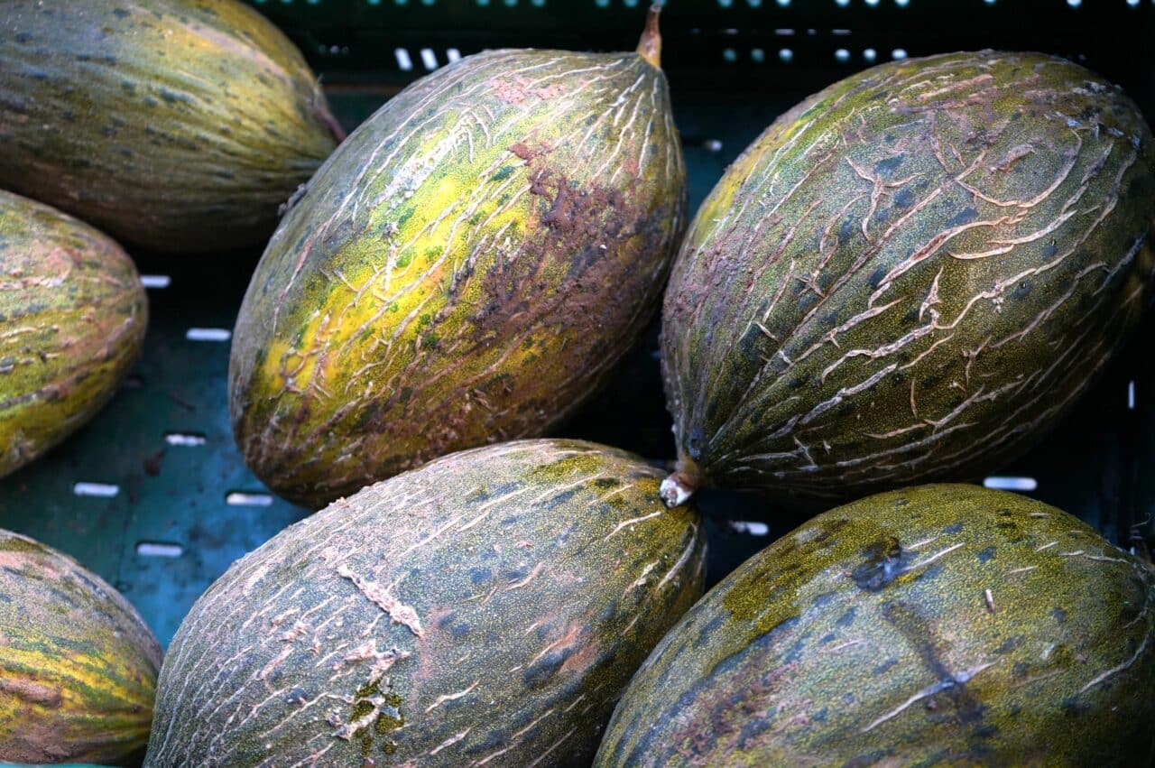 paniers marseillais, Les Paniers marseillais bio et locaux nourrissent les Marseillais depuis près de 20 ans, Made in Marseille